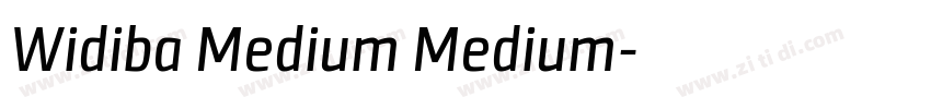 Widiba Medium Medium字体转换